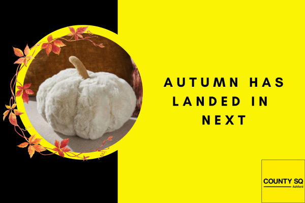 AUTUMN AT NEXT! 🍂🎃